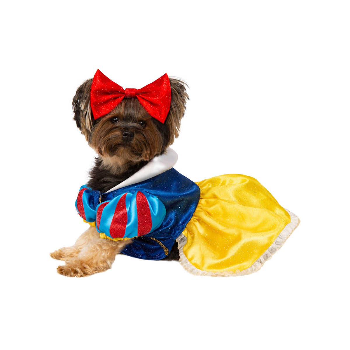 Halloween Pet Costume