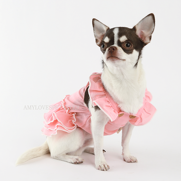 Dog pink clothes
