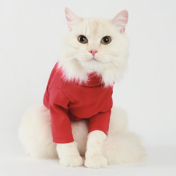pet apparel