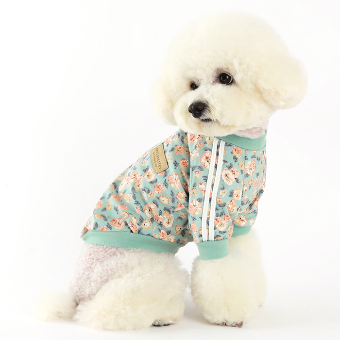 Floral pet sweater