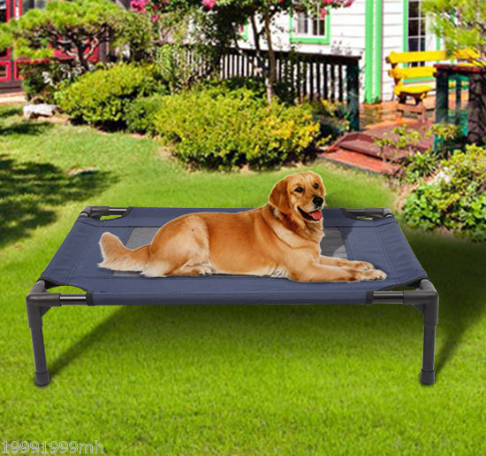 elevated pet bed