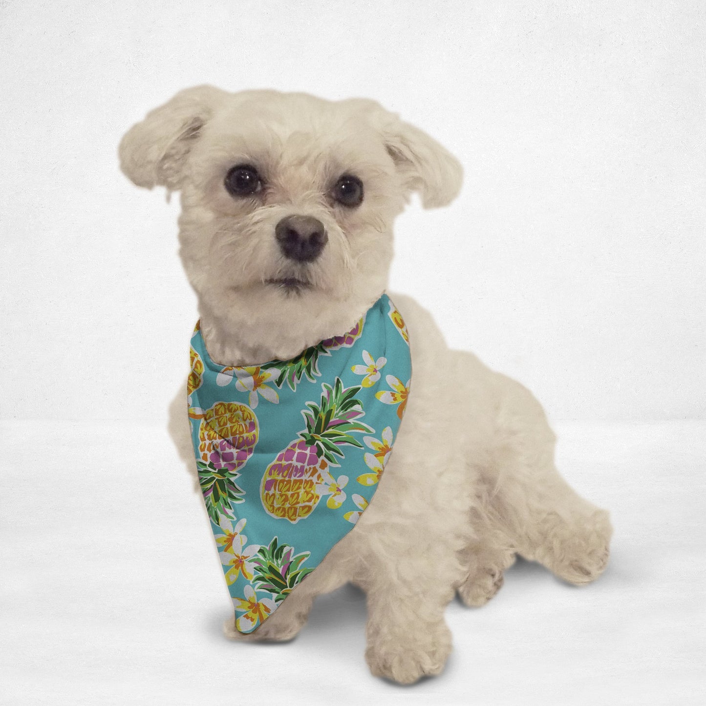 Pineapple Print bandana