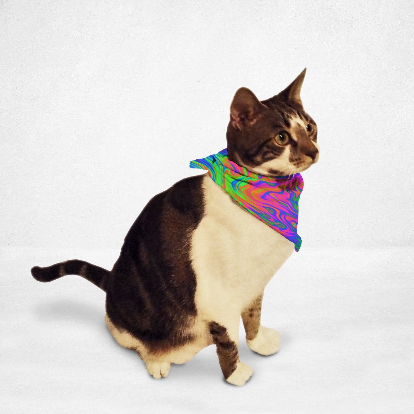 Cat Bandana