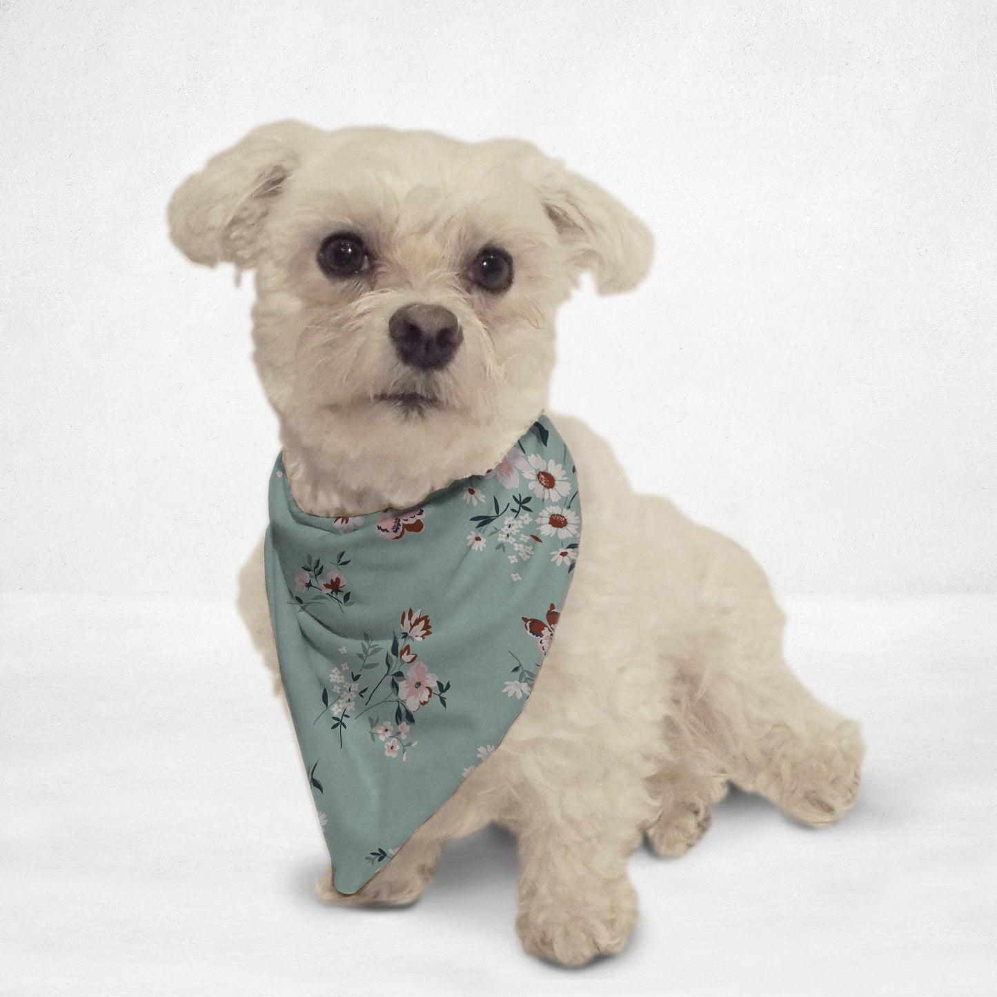 Soft Pet Bandana
