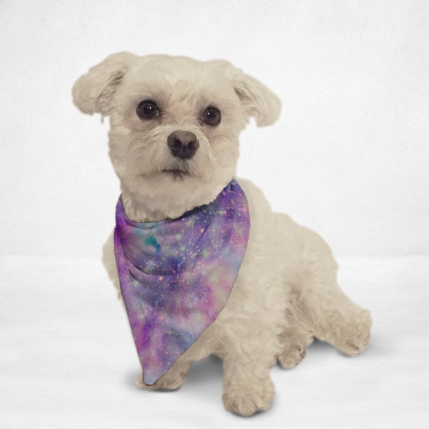 Galaxy Bandanna