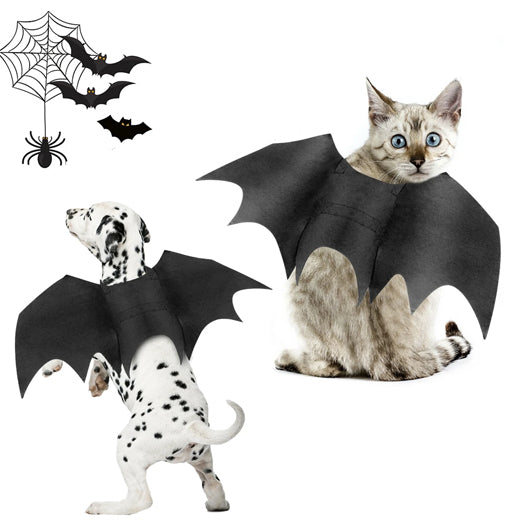 Pet Bat Wings