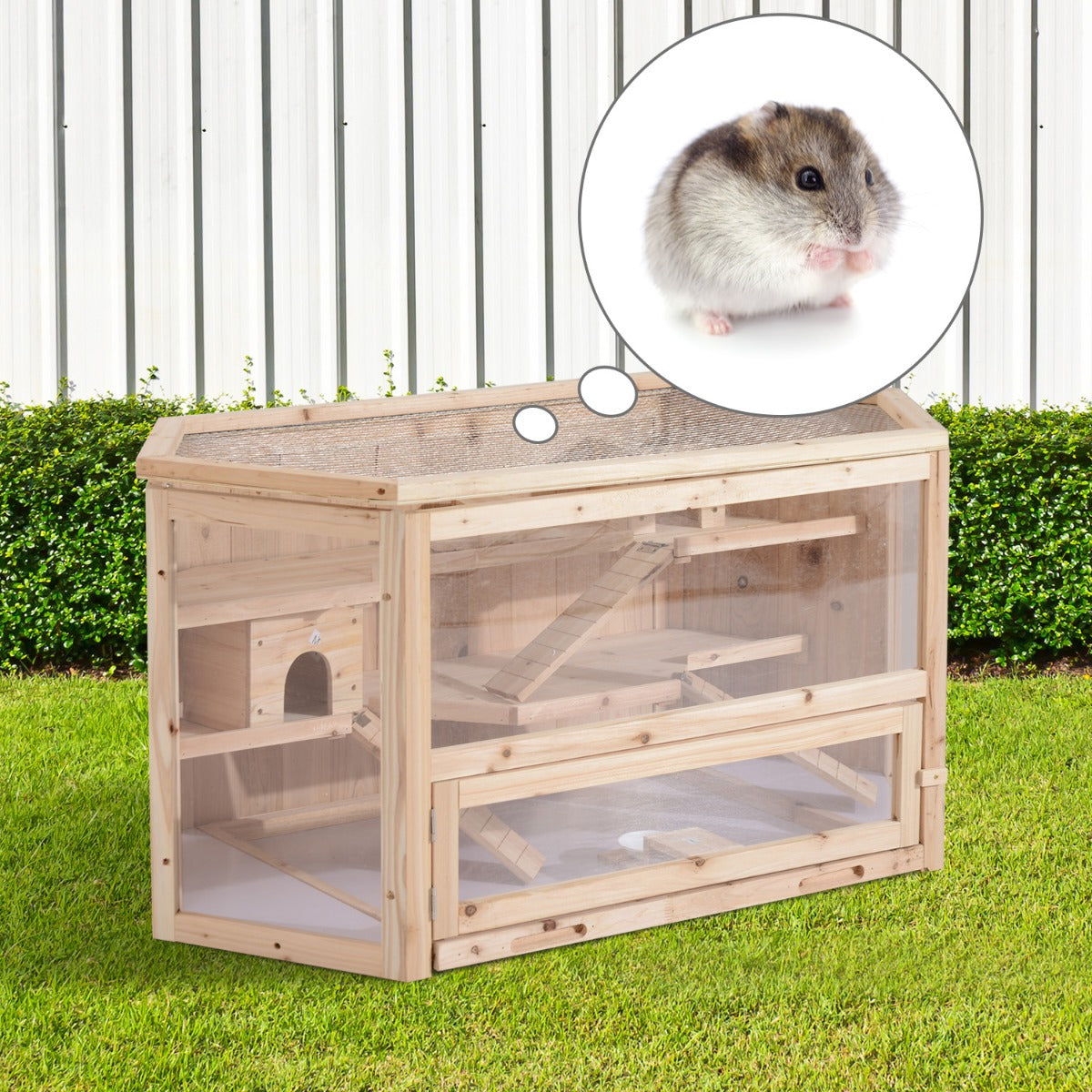 Wood Hamster