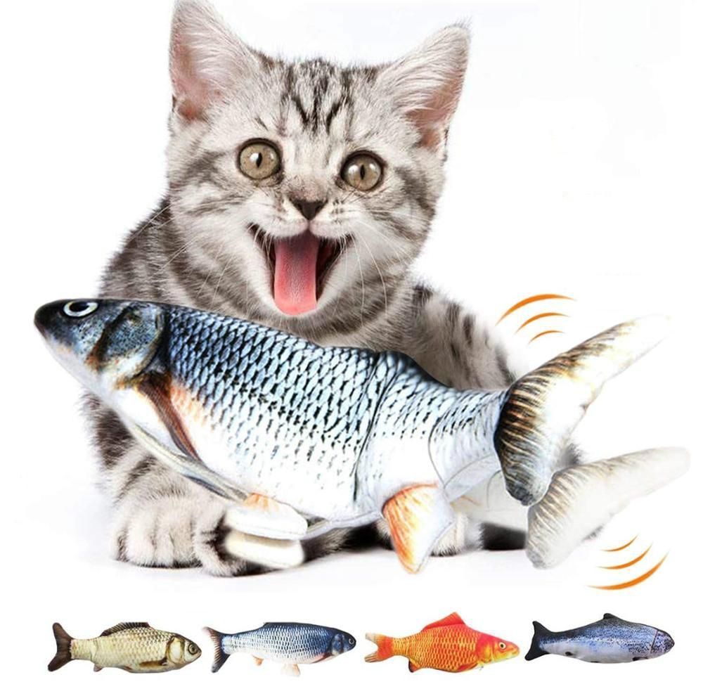 Cat Fun Toy