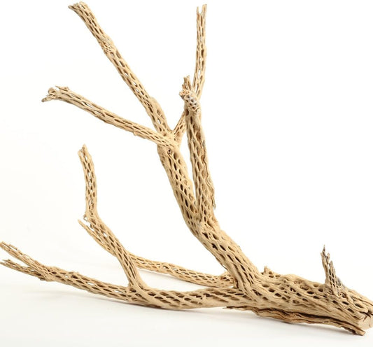 Wooden Branches