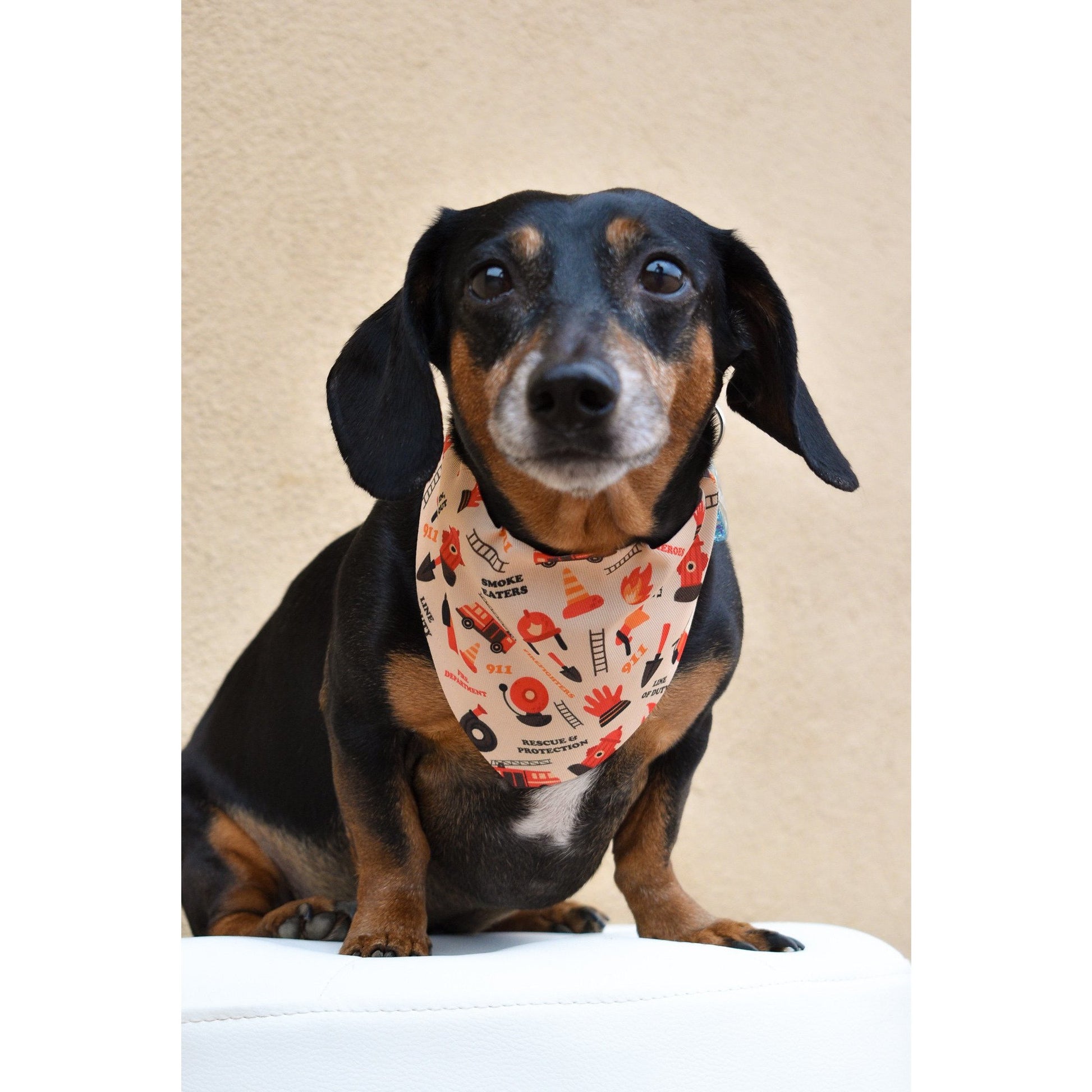 reversible bandanas