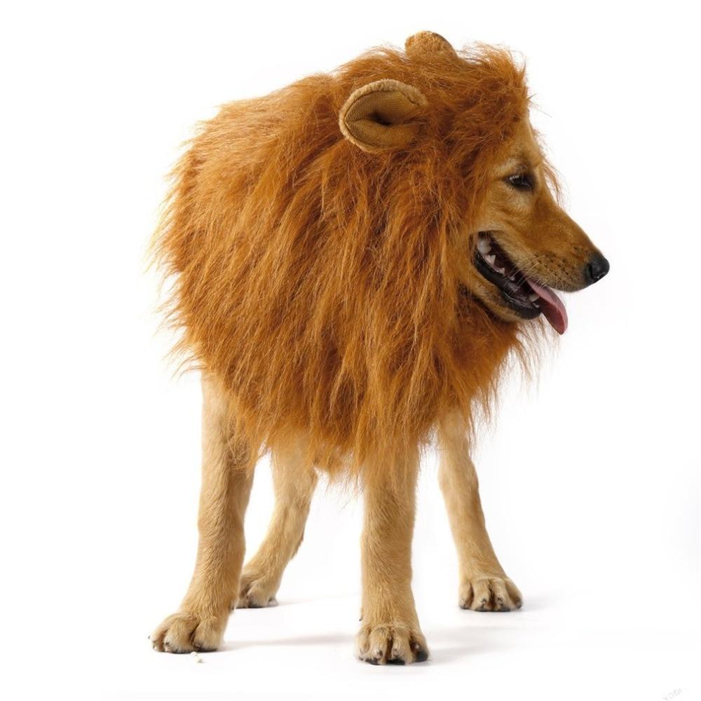 Dog Lion Wig